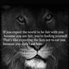 hamza857